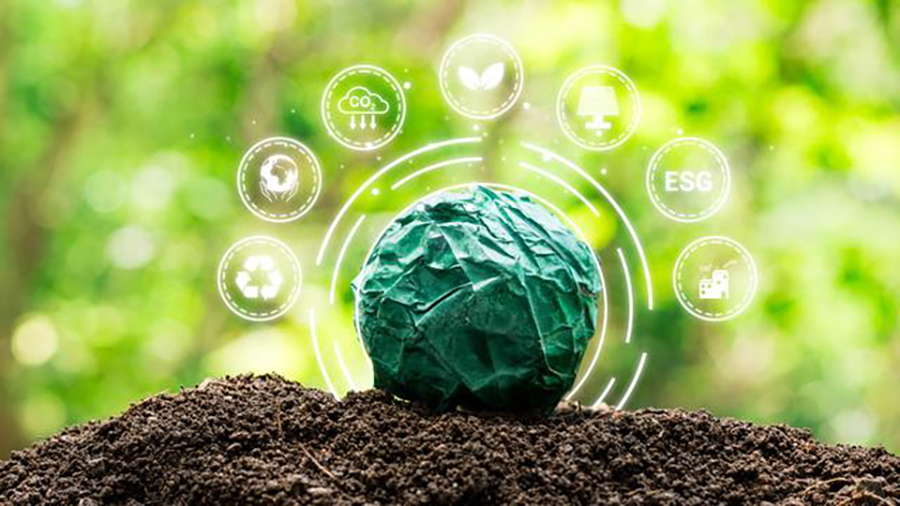 2024-2028���й�������ҵͶ�ʷ�����ǰ��Ԥ��