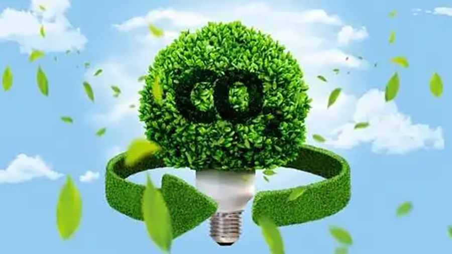 2024-2028��̼�к͵Ľ�չ��δ���г�Ǳ��̽��