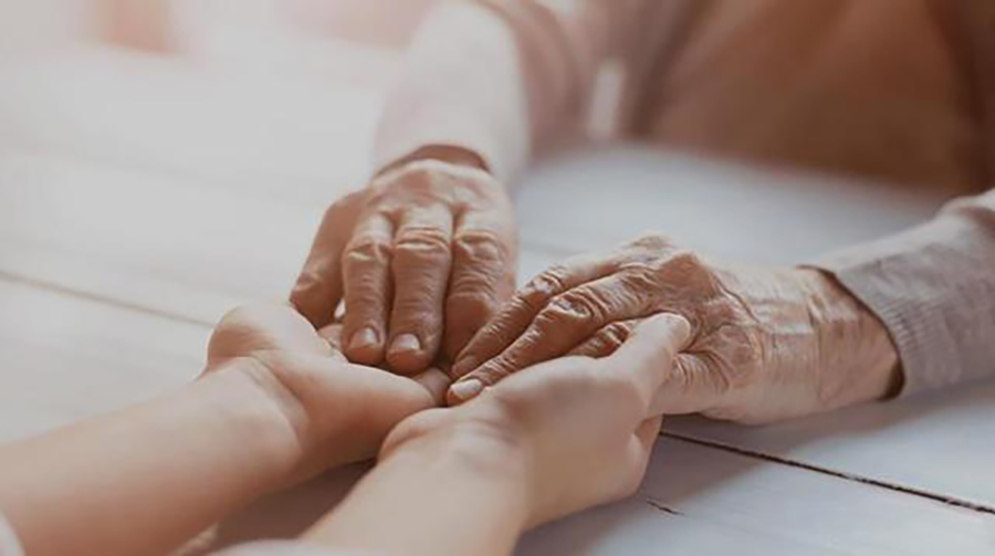 2025-2029���������÷�չ��״������ǰ��չ��