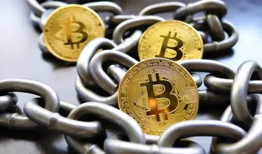 2025-2029���й���Ӧ��������ҵ��ȵ��м�Ͷ��ǰ��Ԥ��