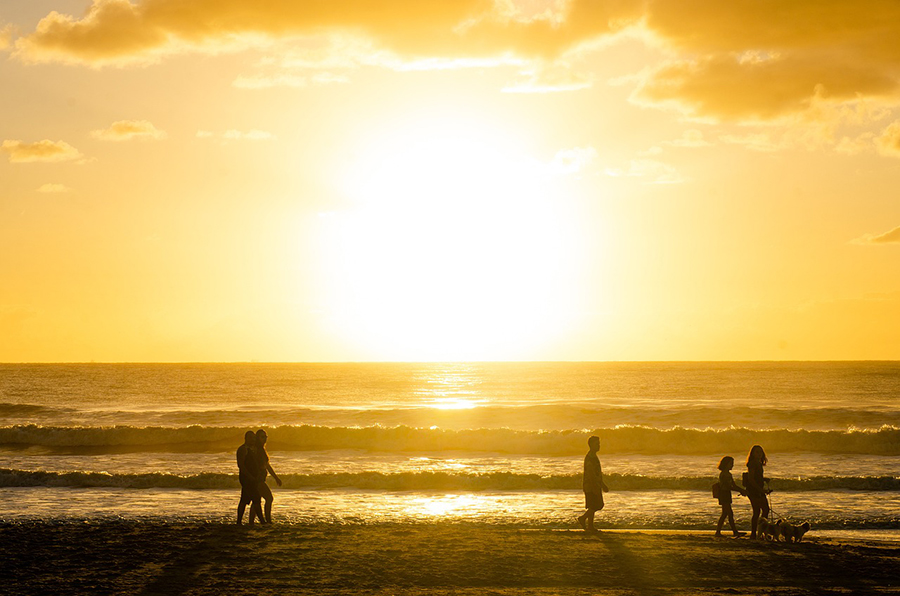 2025-2029���й�����ҵͶ�ʷ�����ǰ��Ԥ��