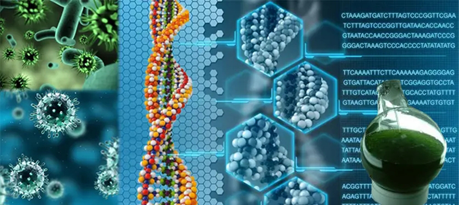 �뵺��վ�ֻ���¼�۵�| 2024��ϳ�����ѧ�г���ģ�뷢չ����