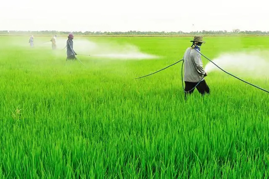 �뵺��վ�ֻ���¼�۵�| 2024-2028���й�����ũҩ��ҵͶ�ʷ�����ǰ��Ԥ�ⱨ��