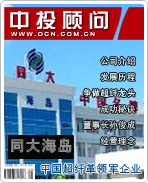 ͬ�󺣵����й����˸������ҵ