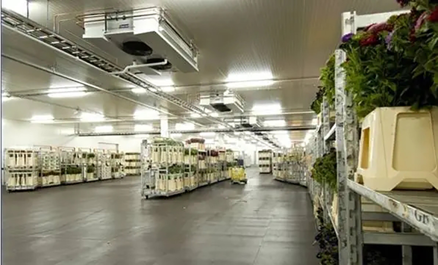 �뵺��վ�ֻ���¼�۵�| �й������ҵ�����ݽ�����������������ɫ��չ