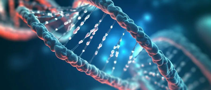 ���������ҵ��չ��Ƥ��2024