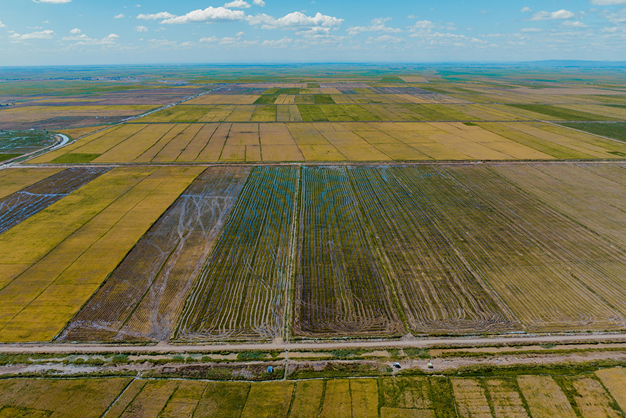 �뵺��վ�ֻ���¼�۵�| 2024-2028���й������޸��г���ȵ��м�Ͷ��ǰ��Ԥ�ⱨ��