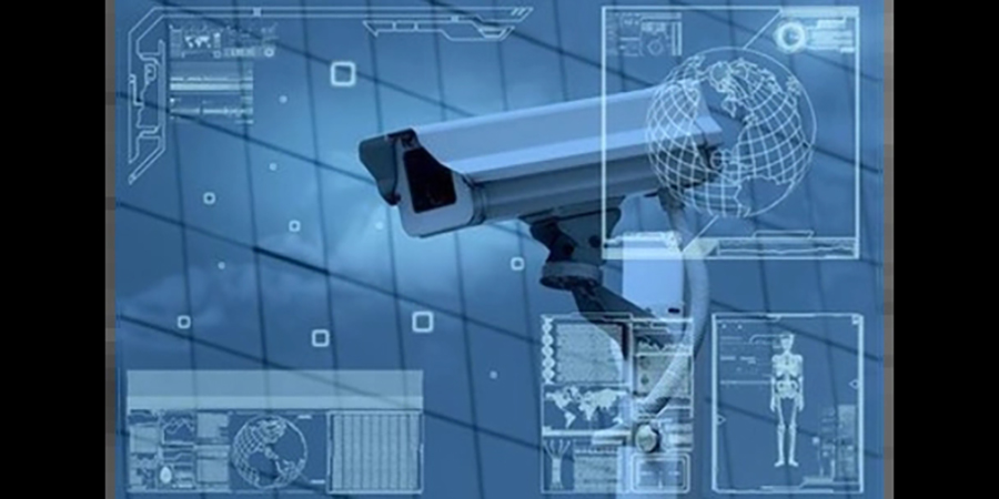 2025-2029���й�������ҵͶ�ʷ�����ǰ��Ԥ��