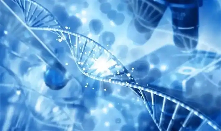 �ϳ�����ѧͶ����״�����ص���Ŀ����������Ӫ״��