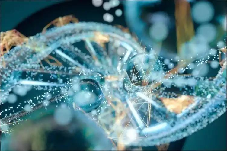 ����������δ���������й��ϳ������ҵ������������Ƚ��