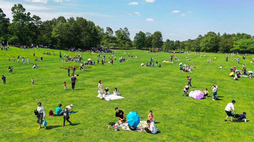 2024-2028�꿵����ҵ����Ǳ����Ͷ��ģʽ�о�