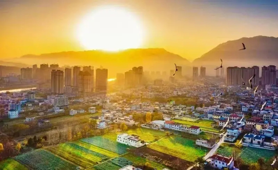 2025-2029���й����򾭼÷�չģʽ��ȷ�������չս���о�