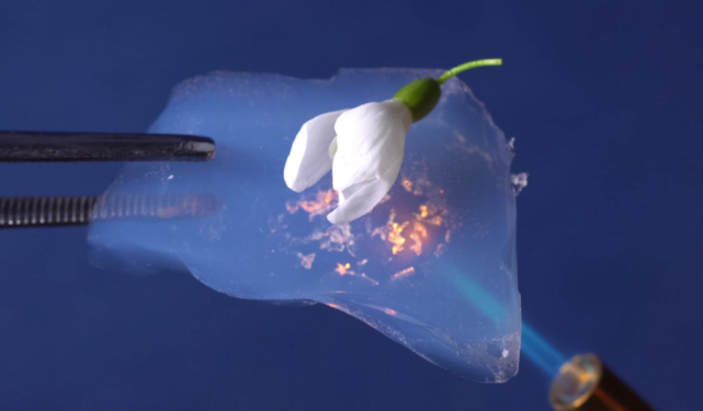 �뵺��վ�ֻ���¼�۵�| 2024-2028���������г�������״����ģԤ�����