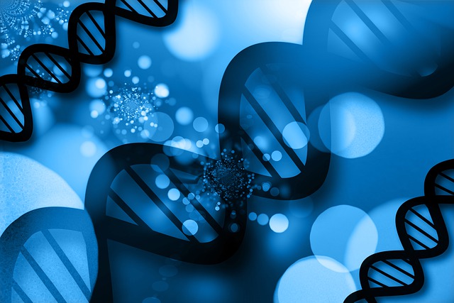 �뵺��վ�ֻ���¼�۵�| 2024-2028���й������ҵ�г���ģԤ��