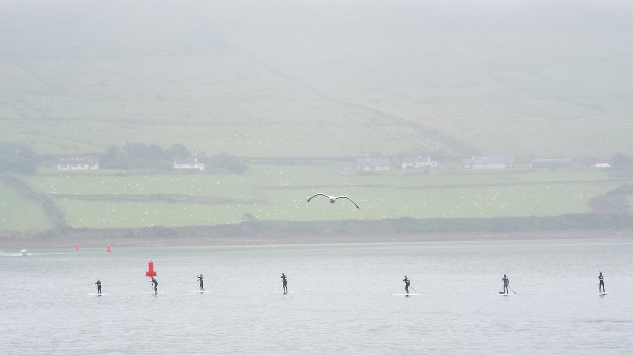 �뵺��վ�ֻ���¼�۵�| 2024-2028���й����������г���ģԤ��