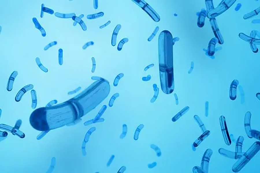 �뵺��վ�ֻ���¼�۵�| 2024-2028���й���������ҩ��ҵ��ȵ��м�Ͷ��ǰ��Ԥ�ⱨ��