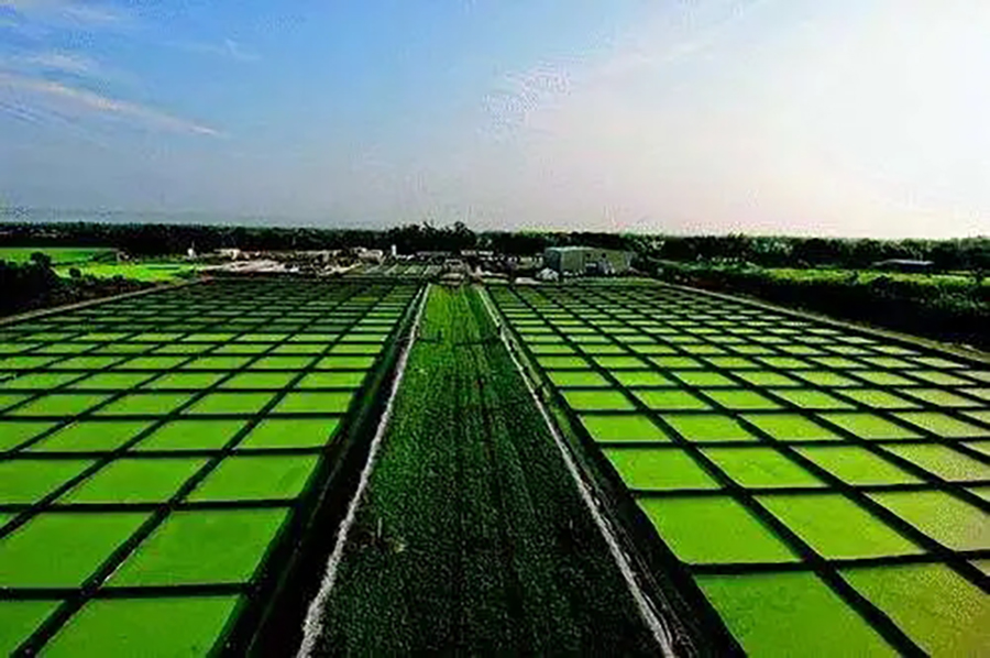 �뵺��վ�ֻ���¼�۵�| 2024-2028���й�δ����ҵ֮����뵺��ҳ������App��ҵ����Ԥ�⼰�뵺�ۺ�������׿���о�����