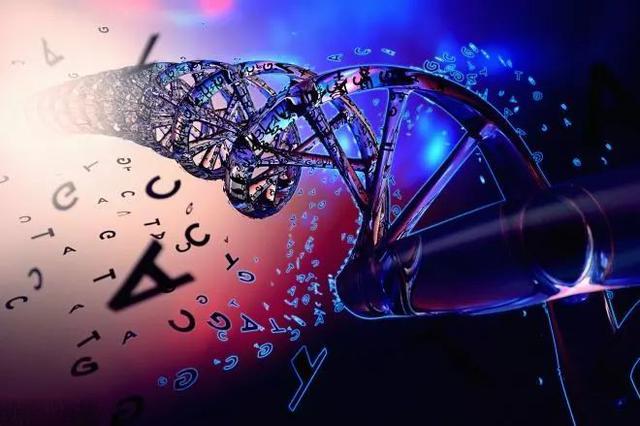 AI������ѧ����������֧���µļ��������������淶