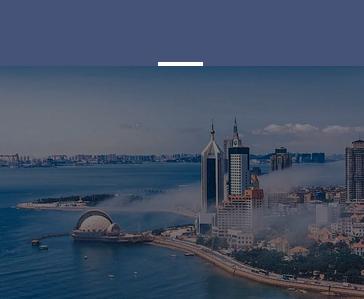 在总体方案的基础上，进一步明确“干什么”（重点方向、发展目标等）