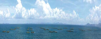 广东·阳江市海纳海洋科技产业园产业发展规划、招商策划