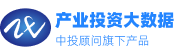 中投大数据