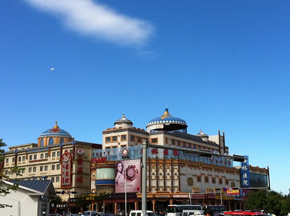 内蒙古生态旅游项目规划论证会召开 中投顾问方案深受好评