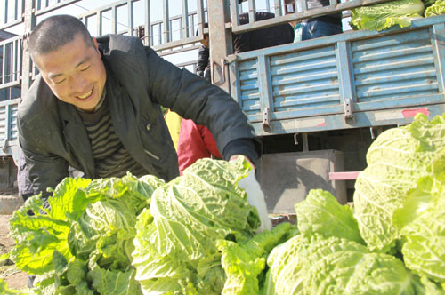 国内土地流转有望大范围铺开 地方政府应谨慎