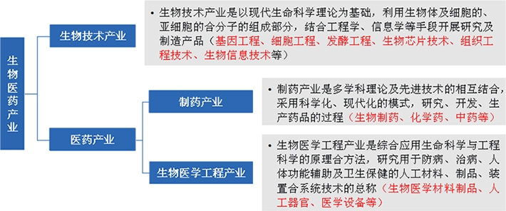 生物医药产业由生物技术产业与医药产业共同组成