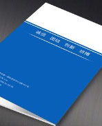 中投顾问公司介绍册