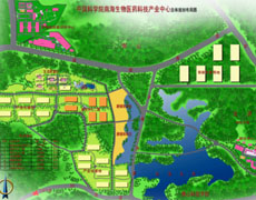 广东佛山南方生物医药城产业发展规划案例