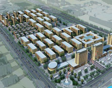 上海东方星程进出口食品商贸大平台发展规划案例